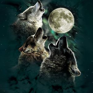 Meet your Posher, Jim wolf